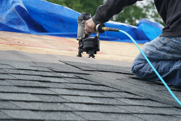 Best Roof Leak Repair  in Prospect Park, NJ
