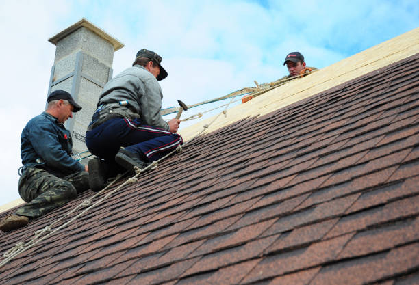Best Gutter Installation and Roofing  in Prospect Park, NJ